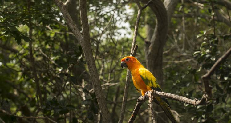 Ecuador's Andes & Amazon - Miller Reisen 4