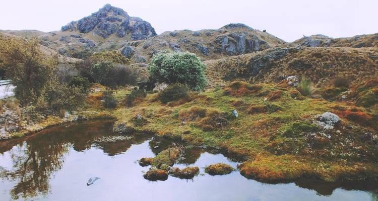 Ecuador's Andes & Amazon - Miller Reisen 7