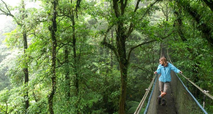 Person walking on a canopy bridge in a dense jungle.