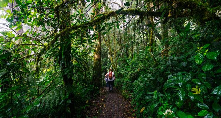 Forêt de nuages, volcans et canal de Panama - Miller Reisen 3