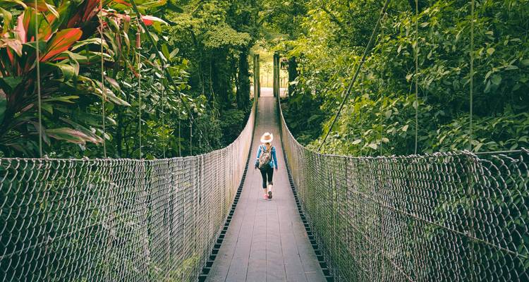 Reiziger met hoed alleen wandelend op een lange hangende brug door weelderig groen wolkenbos