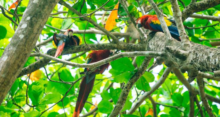 Fascination Costa Rica - Miller Reisen 7