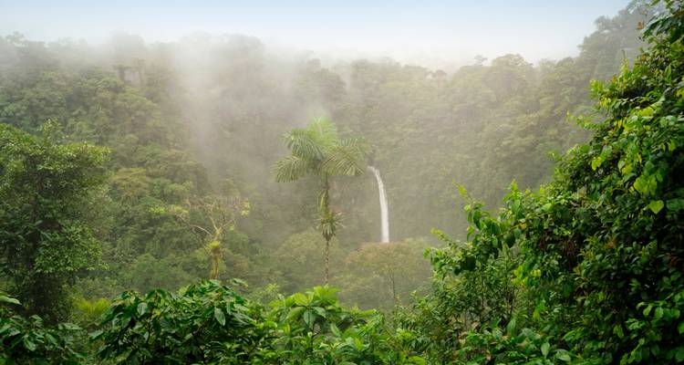 Een hoog waterval stort zich door de mist in een dicht tropisch dal vol groen junglegroen.