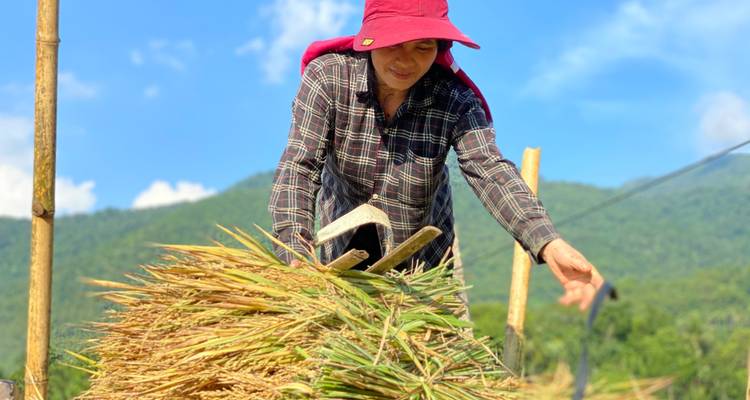 Vietnam de sur a norte: ruta ciclista de Saigón a Hanoi - Mr Biker Saigon 2