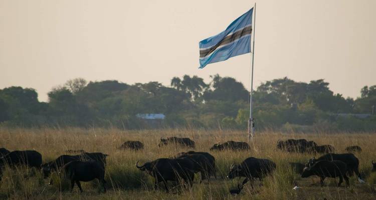 Circuit de découverte du Cap Victoria : 12 jours - Parc Kruger, chutes Victoria, Chobe, Le Cap - HoneyBadger Travel & Tours 6