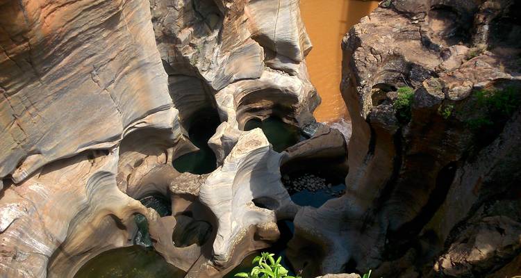 Circuit de découverte du Cap Victoria : 12 jours - Parc Kruger, chutes Victoria, Chobe, Le Cap - HoneyBadger Travel & Tours 8