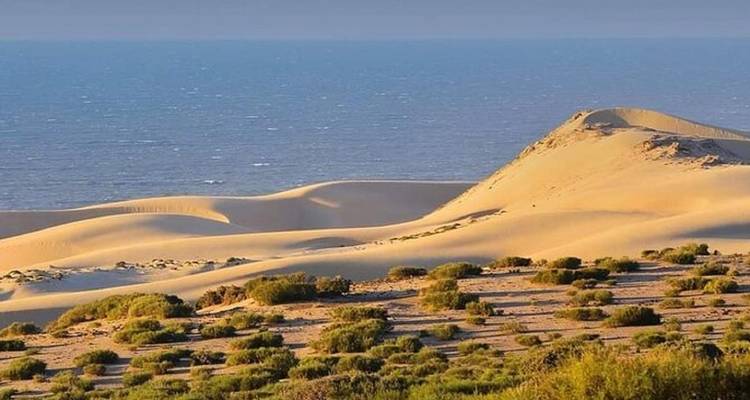 Agadir circuito de un día por el desierto del Sáhara Incluye almuerzo en tajine - Okeytours 1