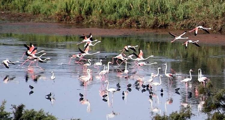 Agadir circuito de un día por el desierto del Sáhara Incluye almuerzo en tajine - Okeytours 4