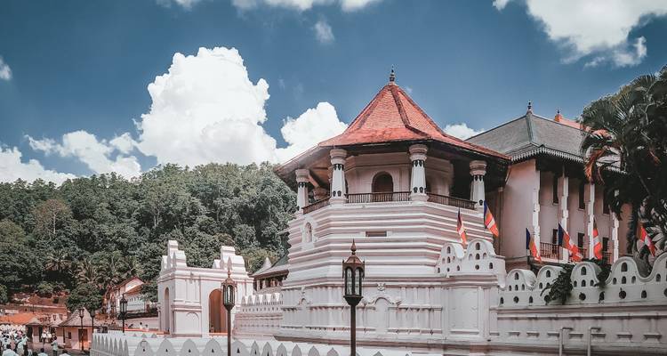 Le Sri Lanka en toute sérénité : Un voyage magique de 5 jours - Apple Vacations Pvt Ltd 3
