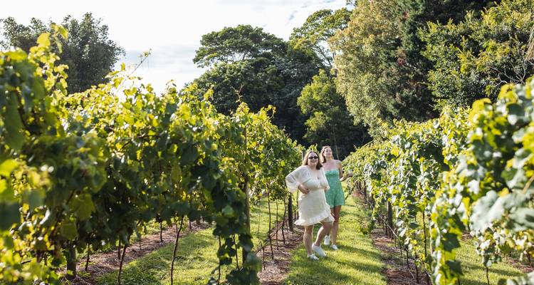 Estancia de lujo Hinterland Wine - Kiff and Culture  8