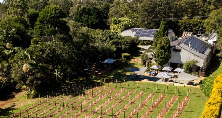 Estancia de lujo Hinterland Wine - Kiff and Culture  2