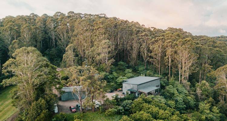Casa apartada rodeada de bosque denso.