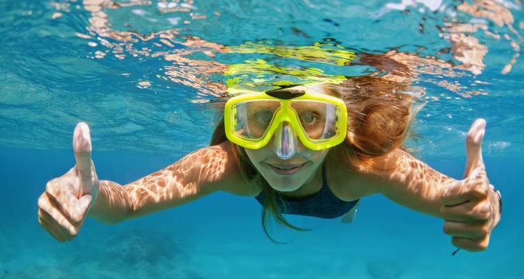 Sydney, Alice Springs, Uluru & Cairns Tour - Australia and New Zealand Travel Company 4