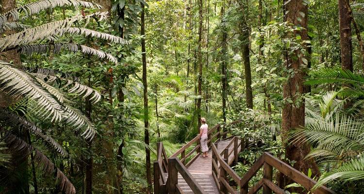 Sydney, Alice Springs, Uluru & Cairns Tour - Australia and New Zealand Travel Company 6