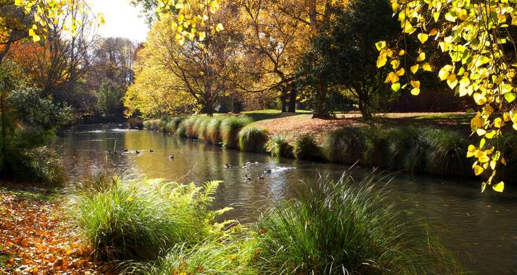 Circuito en tren de 10 días de Auckland a Christchurch - Australia and New Zealand Travel Company 2
