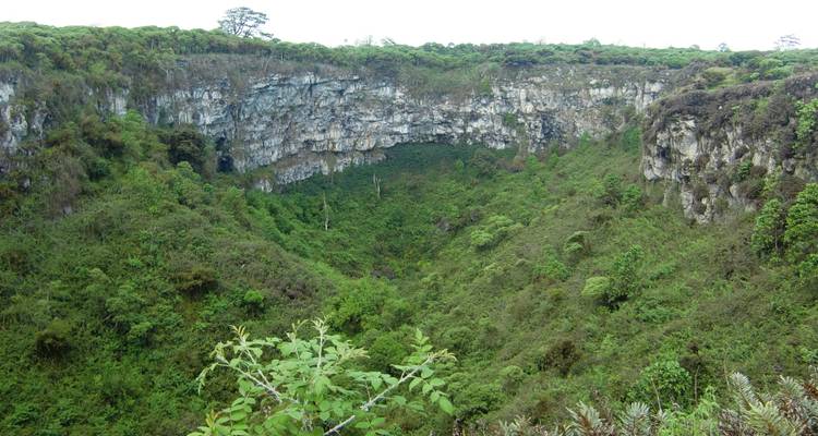 Gran sumidero volcánico o cráter cubierto de vegetación verde con paredes de roca escarpada en la Isla Santa Cruz.