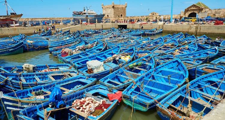 3 Days Discovery from Agadir to Essaouira, Marrakech & Ouzoud water falls. - Okeytours 3
