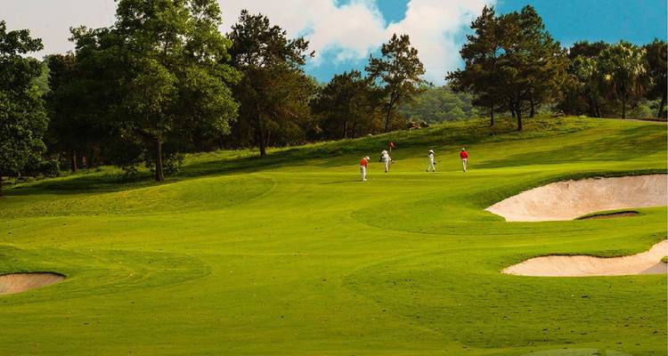 Golfers op een weelderige golfbaan met bunkers.