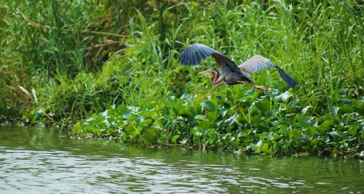 Fascinating Sri Lanka tour in 11 days - Apple Vacations Pvt Ltd 3