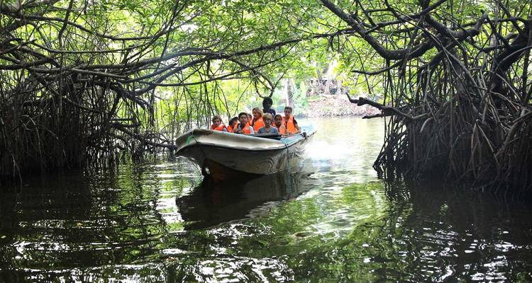 Descubre lo mejor de Sri Lanka: de la belleza costera a las maravillas culturales paquete de lujo - Apple Vacations Pvt Ltd 8