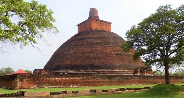 Descubre lo mejor de Sri Lanka: de la belleza costera a las maravillas culturales paquete de lujo - Apple Vacations Pvt Ltd 2