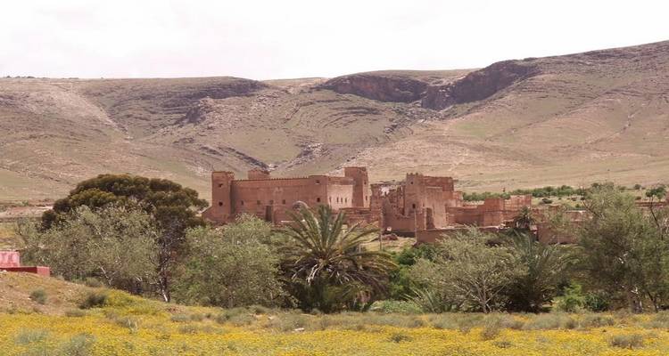 2 jours dans le désert de Zagora à partir d'Agadir, y compris une promenade à dos de chameau et un campement dans le désert berbère - Okeytours 6