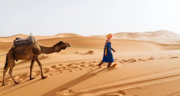 3 días en el desierto de Chegaga desde Agadir incluyendo paseo en camello y campamento Bereber en el desierto - Okeytours 3
