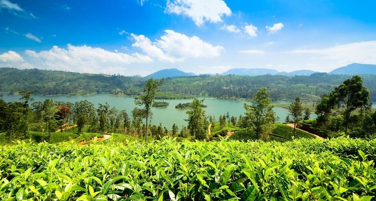 Au- delà des frontières Découvrir le meilleur du Sri Lanka : 11 jours - Apple Vacations Pvt Ltd 2