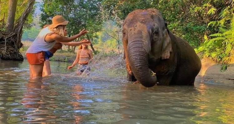 Thaïlande Nature Escape 10 jours - Expérience locale - Bangkok/Chiang Mai/Chiang Rai - PrestiGo Asia 10