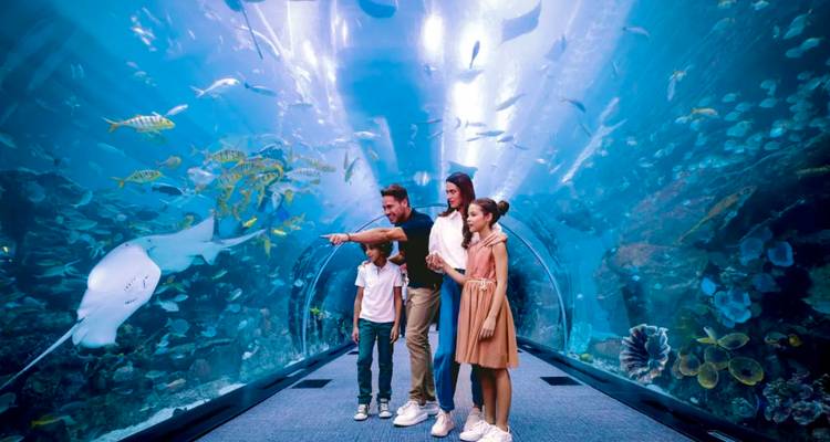 Familie, die durch einen Unterwassertunnel im Dubai Aquarium geht, umgeben von Rochen und farbenfrohen Fischen.