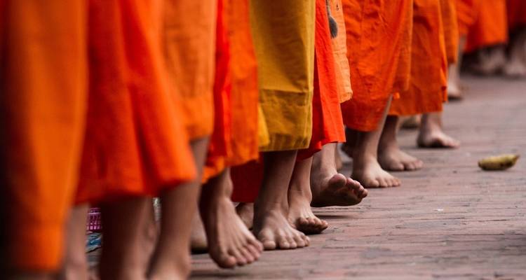 Close-up of monks' feet on a brick path during a procession.