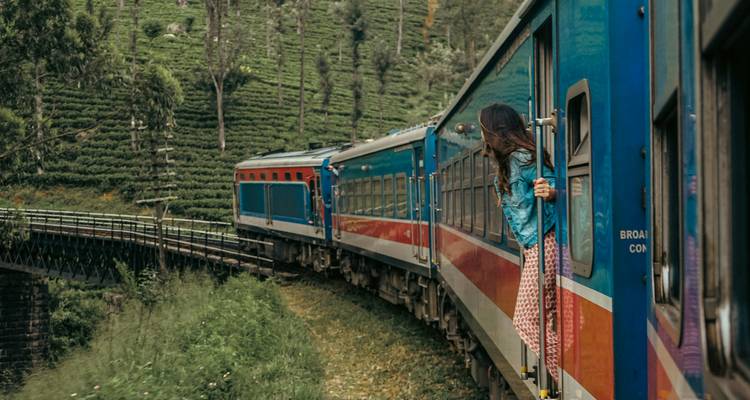 Un train traversant des plantations de thé luxuriantes.