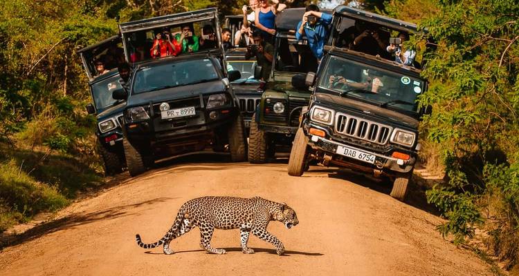 Sri Lanka al descubierto: playas, fauna y tesoros históricos, 18 días - Apple Vacations Pvt Ltd 3