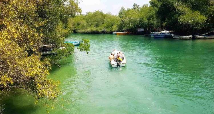 Captivating Hill Country and Coastal Bliss, Immersion in Culture and Nature - Apple Vacations Pvt Ltd 4
