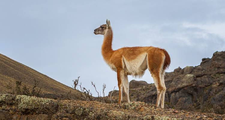 Couleurs, culture et canyons : un voyage à travers Salta et Jujuy - People Travel and Experience 2