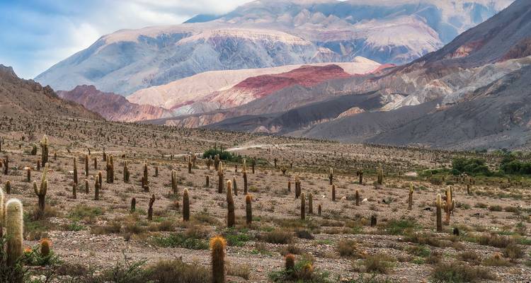 Couleurs, culture et canyons : un voyage à travers Salta et Jujuy - People Travel and Experience 4