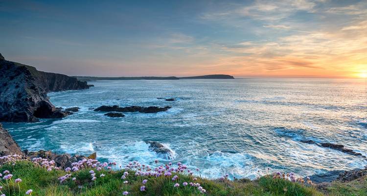 Costa acantilada de Cornualles al atardecer con flores silvestres en primer plano y cielo colorido sobre el Atlántico.