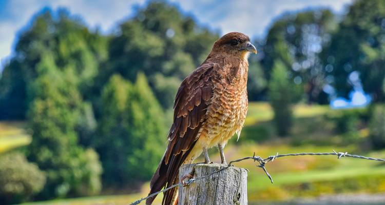Bariloche & the Lakes: Essence of Northern Patagonia - People Travel and Experience 7