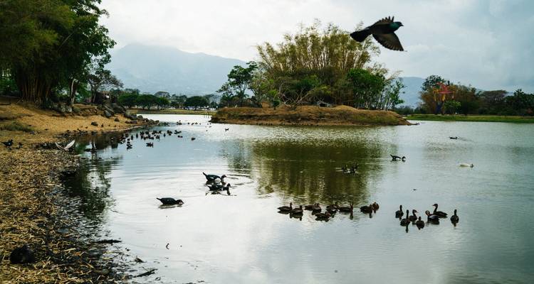 Costa Rica: Coast to Coast - Globus 5