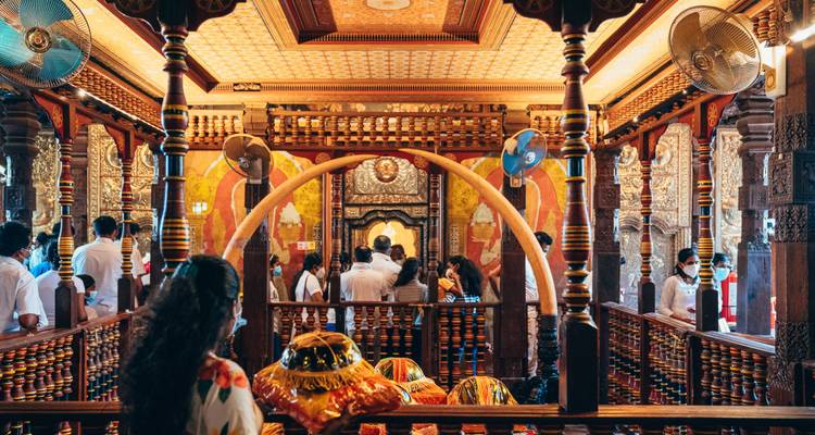 Un viaje por el corazón de Sri Lanka - Apple Vacations Pvt Ltd 4