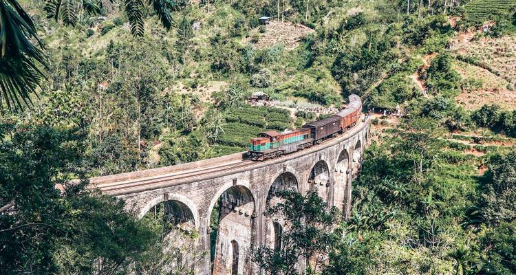 Explorer les paysages enchanteurs du Sri Lanka - Apple Vacations Pvt Ltd 8
