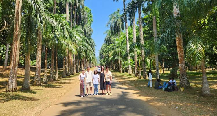 Explorer les paysages enchanteurs du Sri Lanka - Apple Vacations Pvt Ltd 6