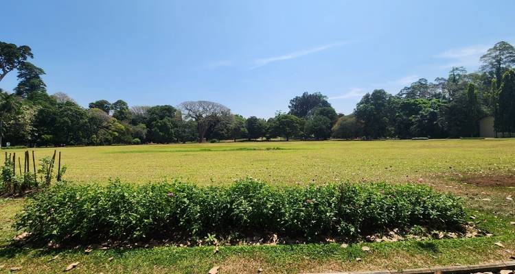 Explorer les paysages enchanteurs du Sri Lanka - Apple Vacations Pvt Ltd 7
