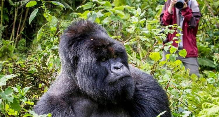 Combined Gabon and Sao Tome Principe Tour - Across Africa Tours & Travel 4