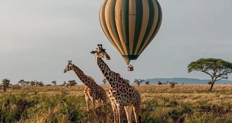 3 days Serengeti & Ngorongoro Fly-in Lodge safari from Zanzibar - Serengeti African Tours 8