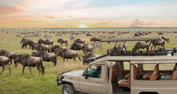 3 days Serengeti & Ngorongoro Fly-in Lodge safari from Zanzibar - Serengeti African Tours 9