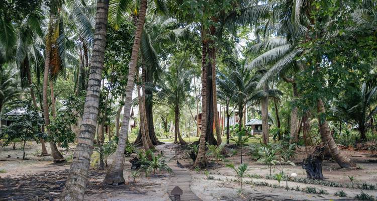 Visite de Port Blair et de l'île de Havelock - Ramble Advisor 4