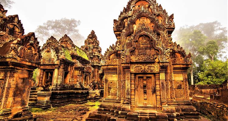 Sculptures complexes sur des structures de temples anciens avec une végétation luxuriante.