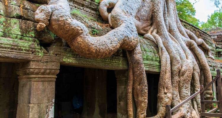 Todo lo destacado de Angkor Wat y el Parque Nacional de Phnom Kulen en 4 días - About Cambodia Travel & Tours 4
