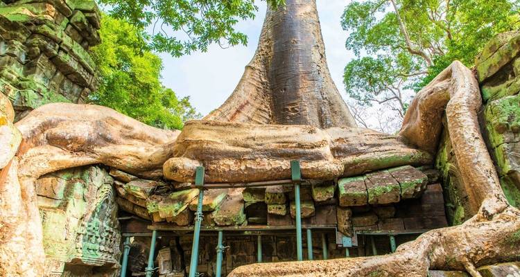Todo lo destacado de Angkor Wat y el Parque Nacional de Phnom Kulen en 4 días - About Cambodia Travel & Tours 10